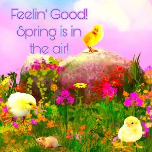 Wishing you a happy day!